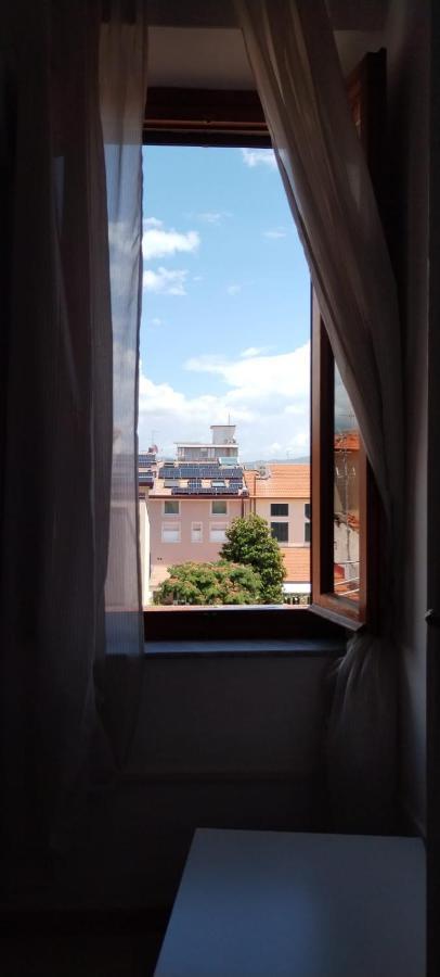 Canarco Viareggio